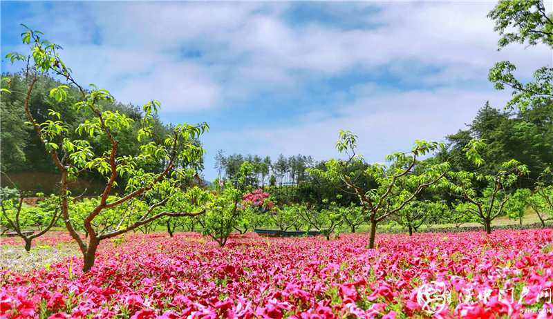 漢中媒體采風(fēng)團帶您走進正在“舊貌換新顏”的南湖