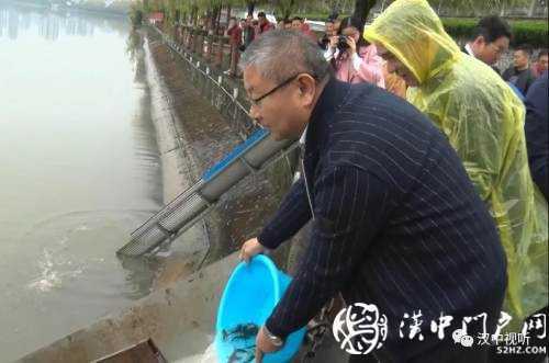 漢臺(tái)區(qū)愛心放流，40萬尾魚寶寶漢江“安家”