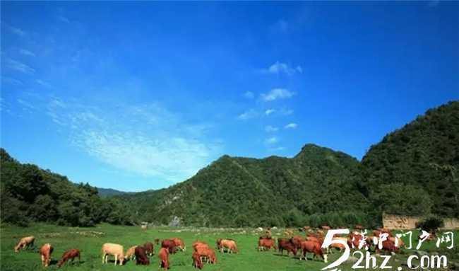 留壩開始全面探尋康養(yǎng)，旅居