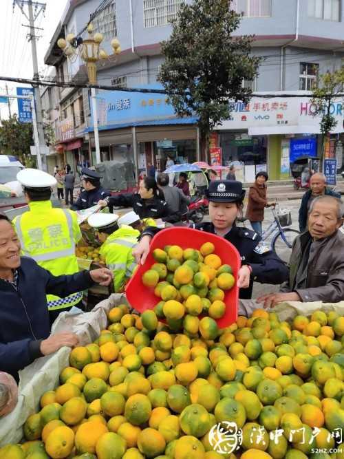 賣桔途中車壞了，一車桔子被撂馬路中央，民警趕忙幫轉(zhuǎn)移