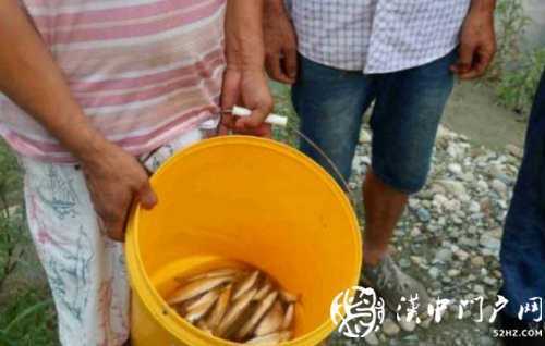 三人在河道非法電魚，被寧強(qiáng)民警抓個正著