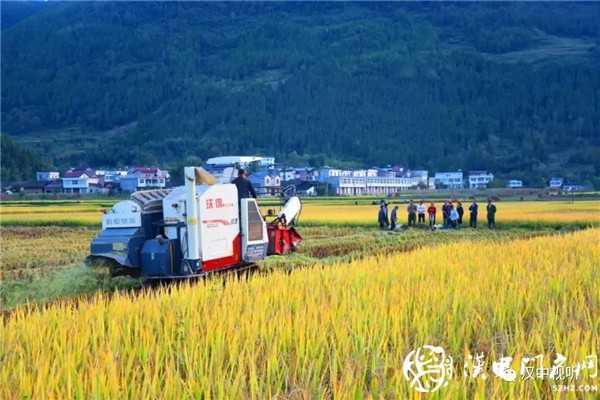 撒花！我市七家企業(yè)通過(guò)GAP認(rèn)證，拿到通行全球“護(hù)照”