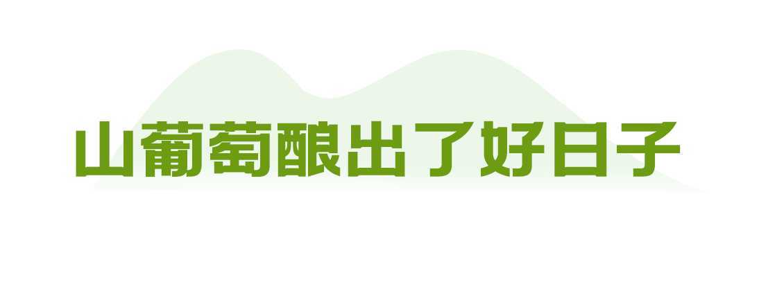 向總書(shū)記報(bào)告丨金鞍躍馬好揚(yáng)鞭