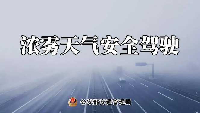 多地有大霧，安全駕駛提示速收好！ | 預警