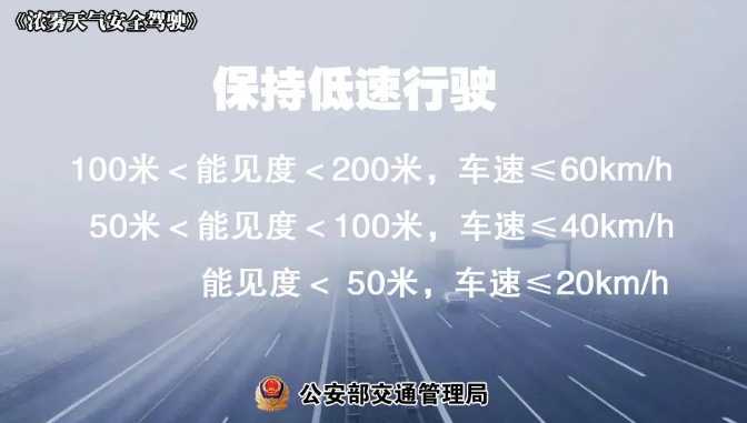 多地有大霧，安全駕駛提示速收好！ | 預警