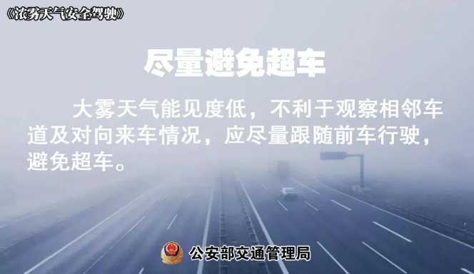 多地有大霧，安全駕駛提示速收好！ | 預警