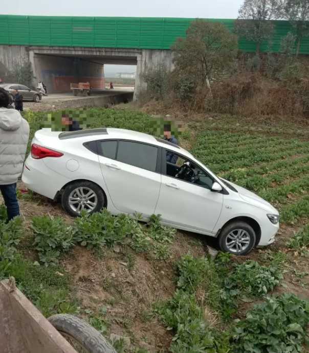 漢中一輛汽車開到油菜田里了！