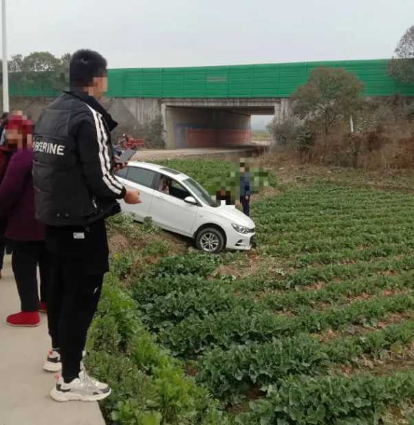 漢中一輛汽車開到油菜田里了！