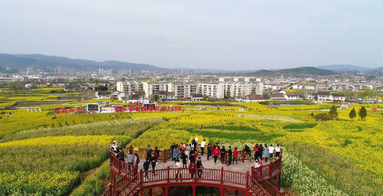 021中國(guó)最美油菜花海漢中旅游文化節(jié)在西鄉(xiāng)縣盛大啟動(dòng)"