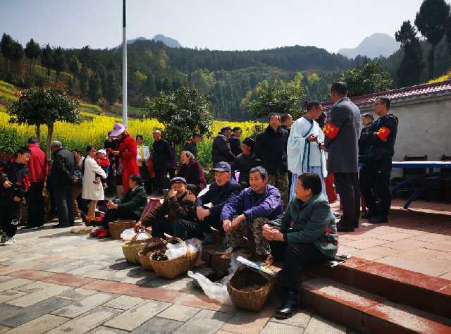 勉縣新鋪鎮(zhèn)漩水坪村觀花活動(dòng)拉開(kāi)序幕