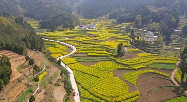 藏不住的梯田風(fēng)光！漢中媒體采風(fēng)團(tuán)走進(jìn)勉縣新鋪鎮(zhèn)漩水坪村