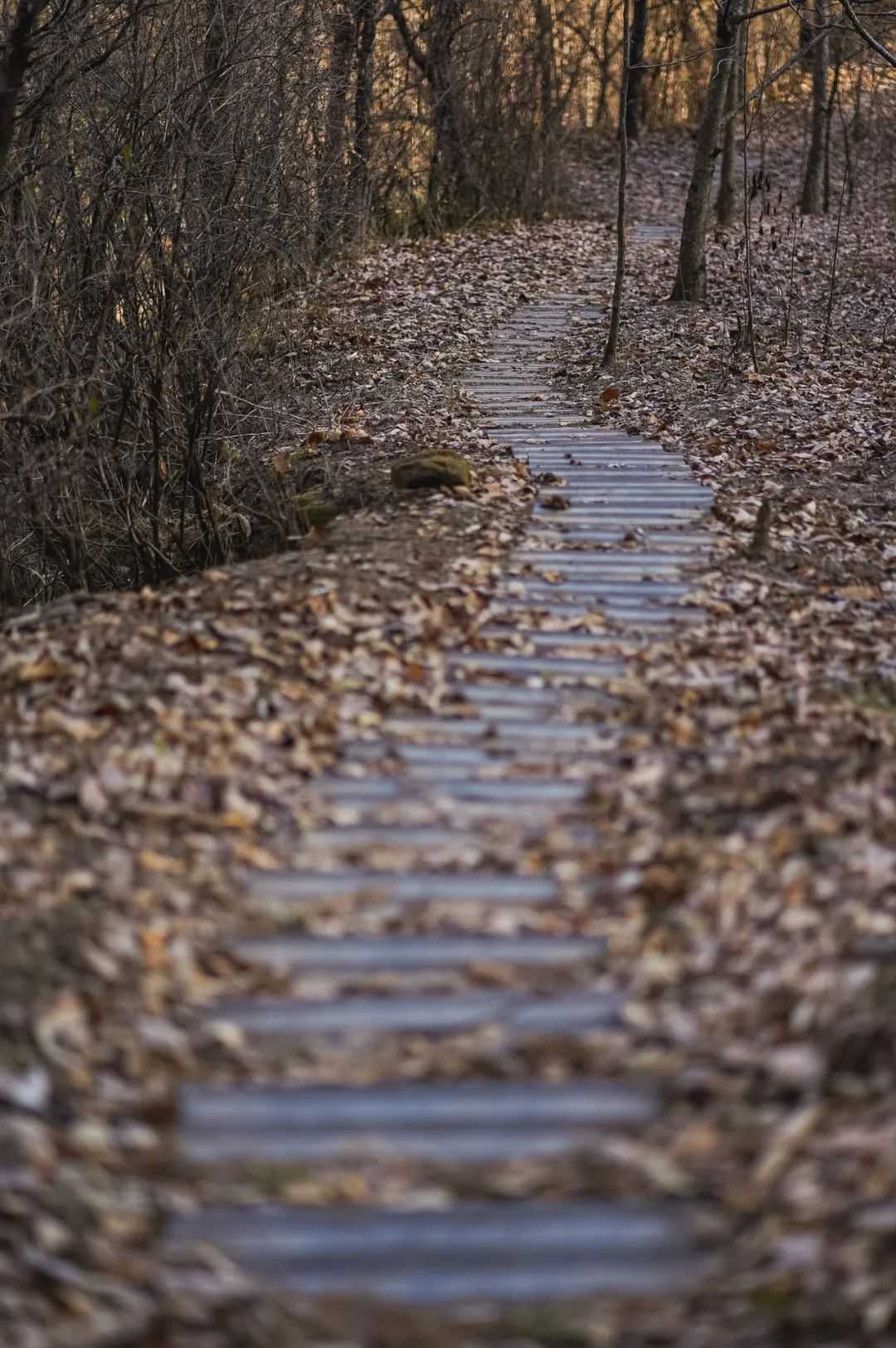 在漢中，這定是您向往的冬日生活！