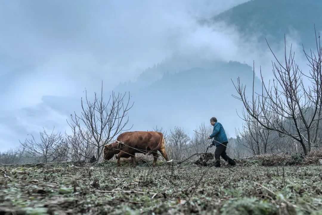 在漢中，這定是您向往的冬日生活！