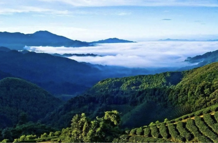 詩意鎮(zhèn)巴！這條醉美旅游線路私藏了萬千田園風(fēng)光！