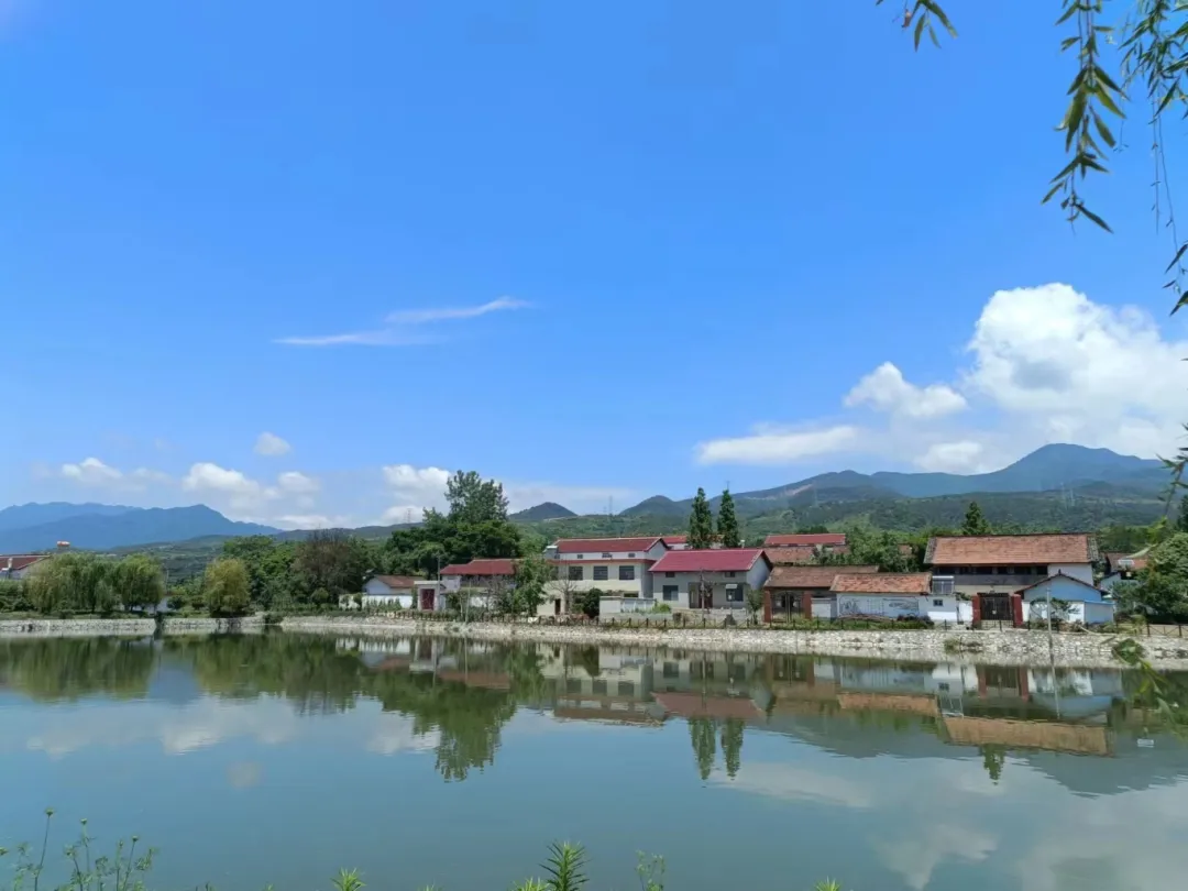 漢臺(tái)區(qū)宗營(yíng)鎮(zhèn)楊家山村：泥墻房變身“黃金屋”