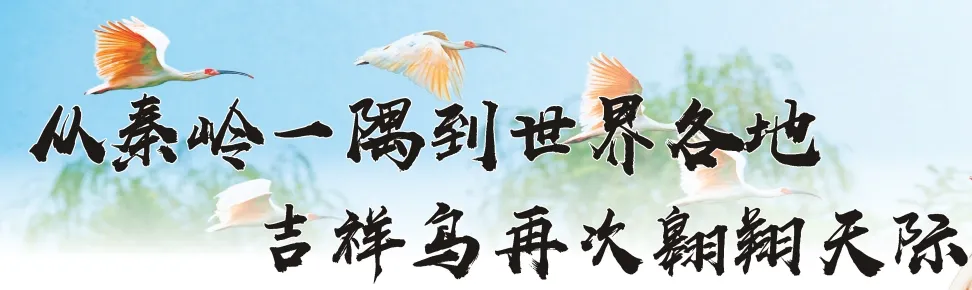 從秦嶺到世界！漢中創(chuàng)造生態(tài)奇跡！