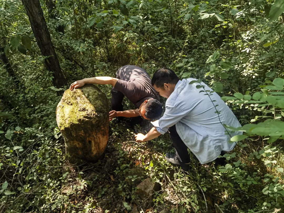 西鄉(xiāng)發(fā)現(xiàn)一尊疑似宋金時(shí)期石刻頭像