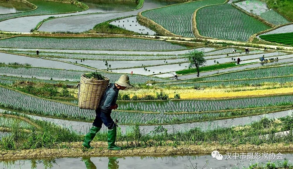 漢中這些地方，藏著令人向往的滿分初夏時(shí)光！