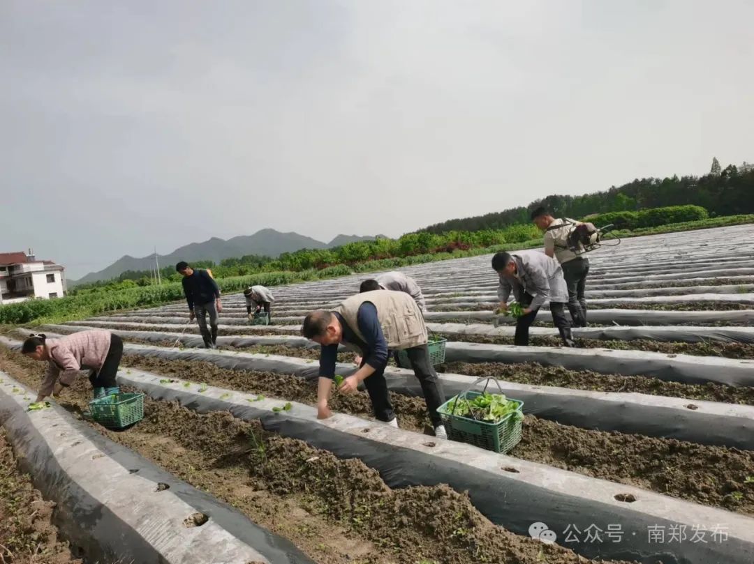 漢中這些地方，藏著令人向往的滿分初夏時(shí)光！