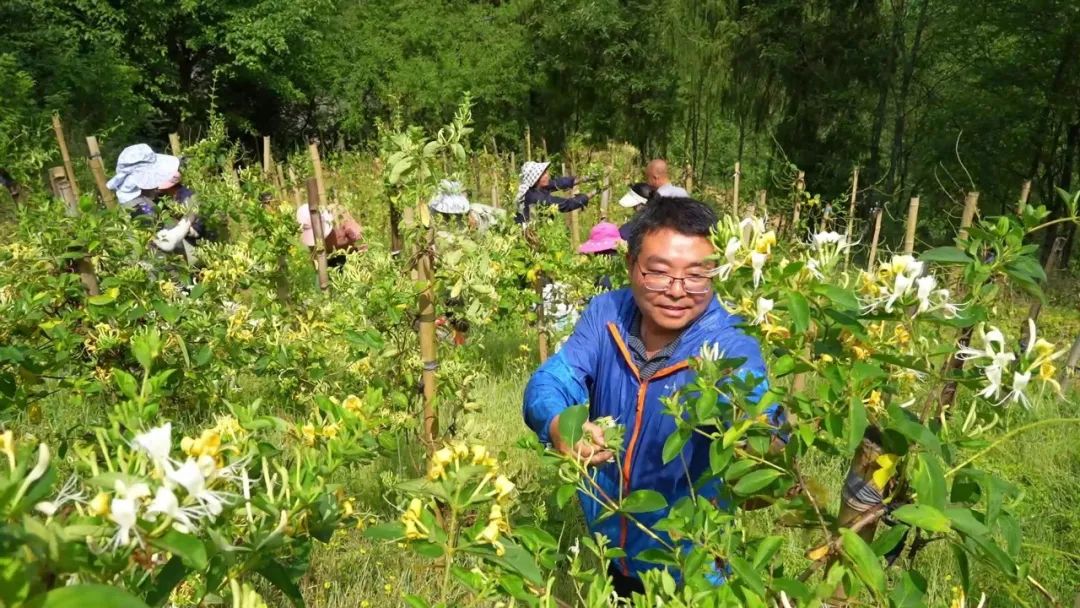 漢中這些地方，藏著令人向往的滿分初夏時(shí)光！