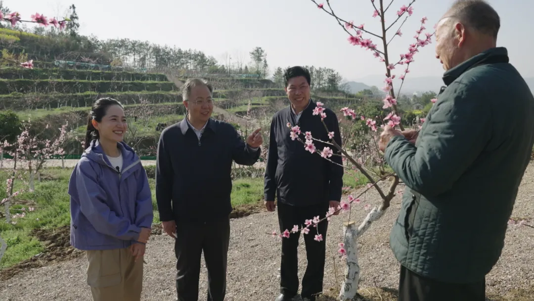 央視財經關注！看漢中如何探索鄉(xiāng)村振興之路→