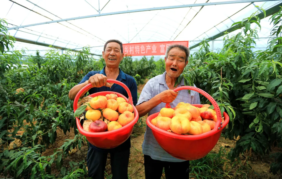 漢臺：“擂臺比武”亮實(shí)績 “以賽促干”助振興