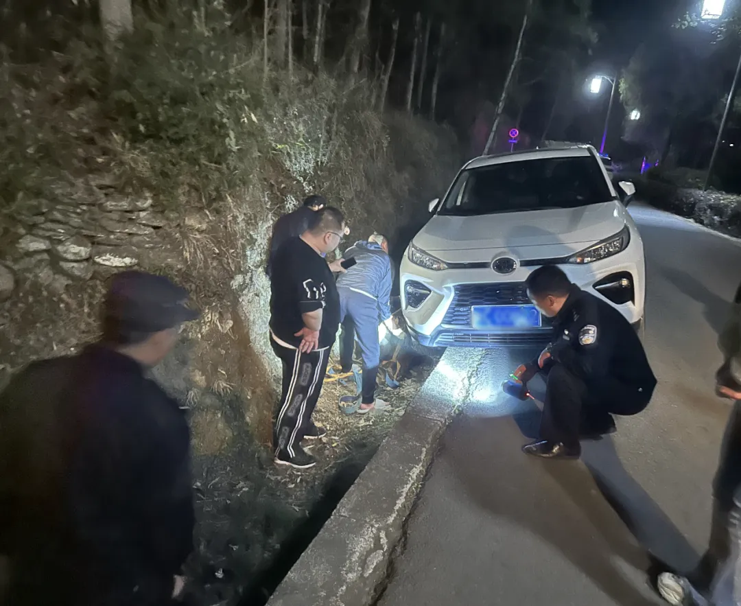 游客車陷水溝，漢中警民合力助脫困