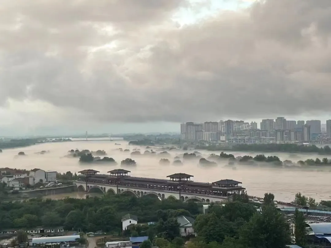 視覺漢臺(tái) | 煙雨朦朧 油畫漢臺(tái)