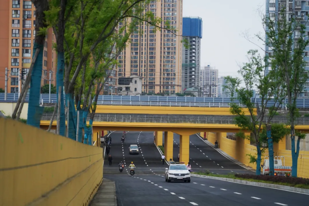 出行方便了！漢中興漢新區(qū)惠府路主車道通車！