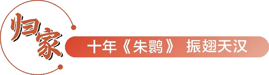 從秦嶺到世界！漢中創(chuàng)造生態(tài)奇跡！